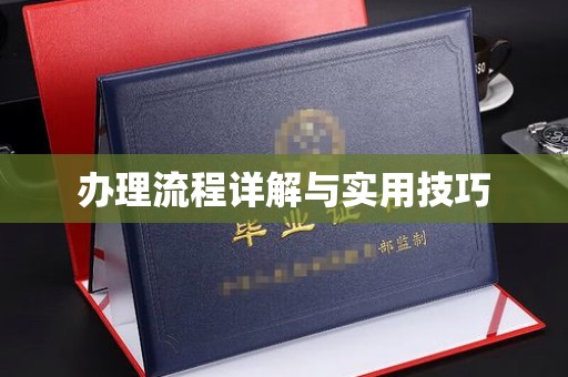 诸城办理流程详解与实用技巧