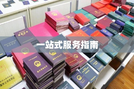 诸城一站式服务指南