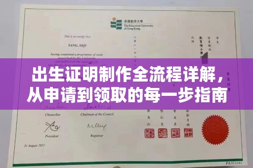 诸城出生证明制作全流程详解，从申请到领取的每一步指南