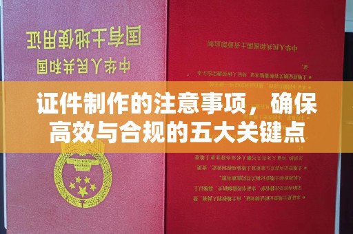 诸城证件制作的注意事项，确保高效与合规的五大关键点